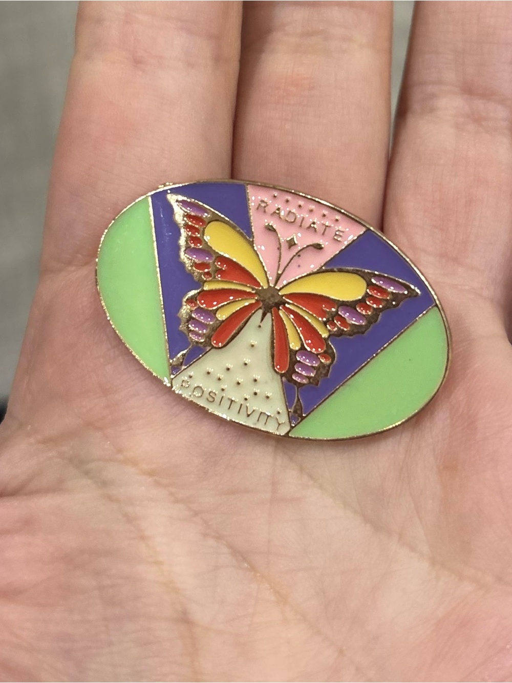 Radiate Positivity Multicolor Butterfly Brooch